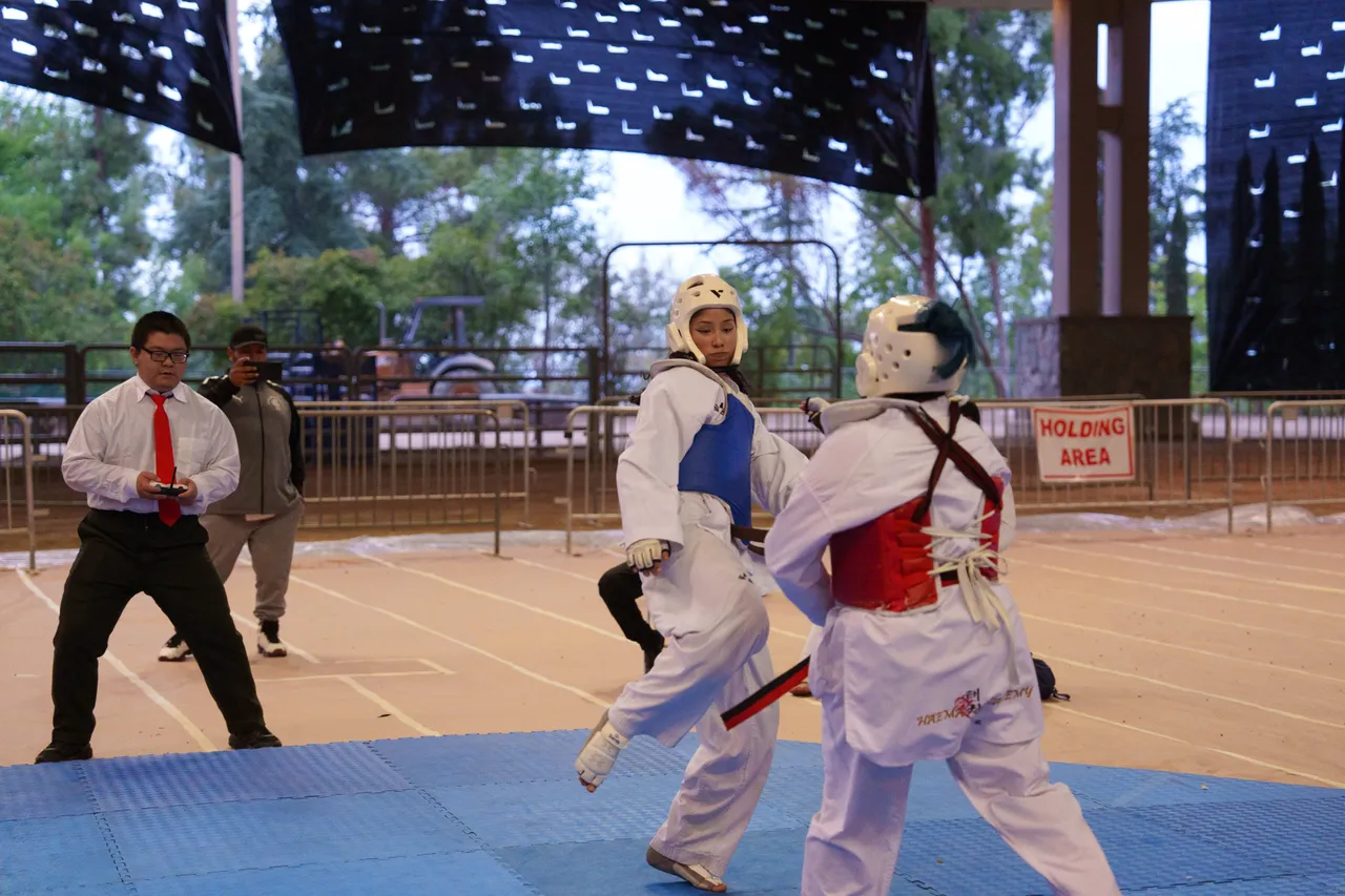 International Taekwondo Festival (ITF) 2025, photo 46 of 48