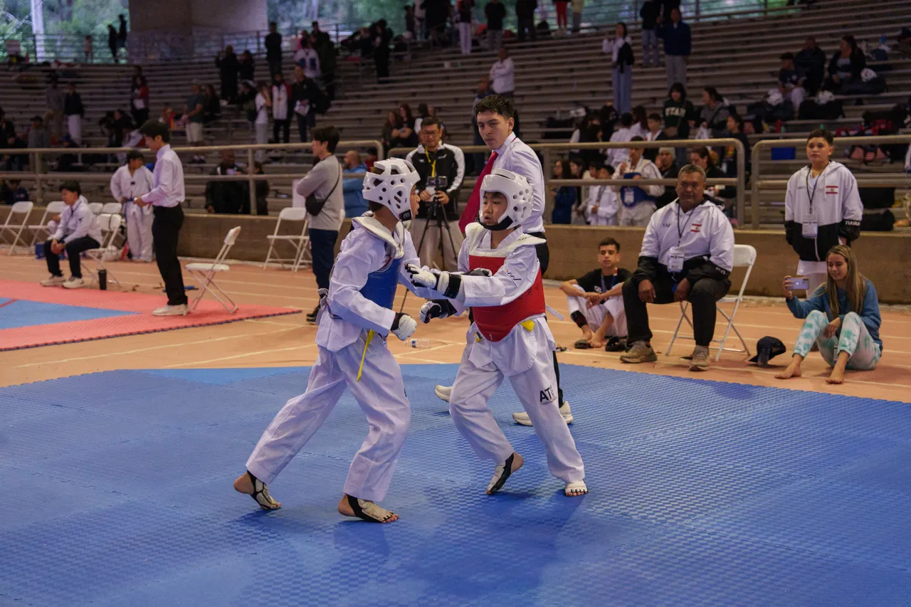 International Taekwondo Festival (ITF) 2025, photo 41 of 48