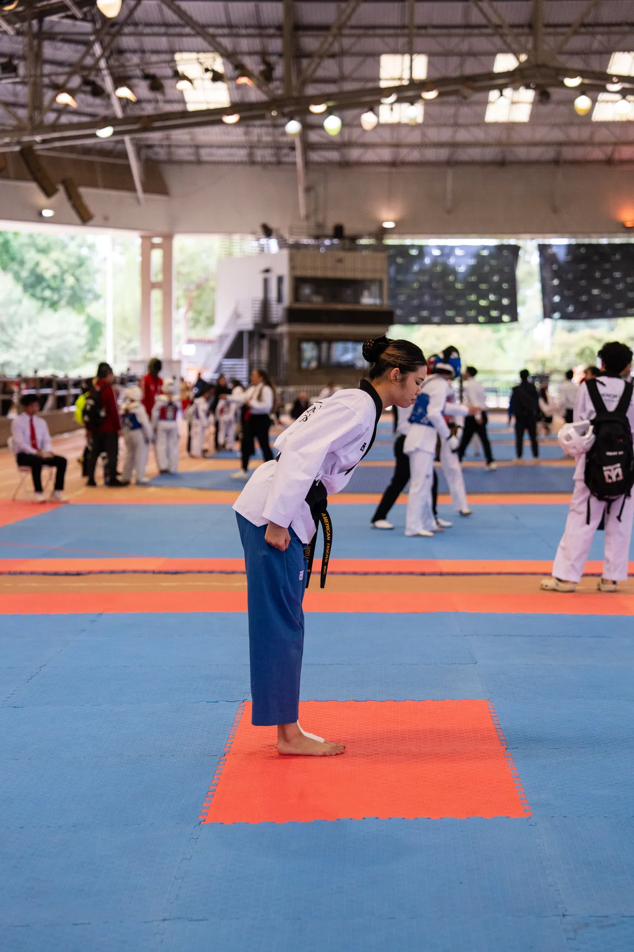 International Taekwondo Festival (ITF) 2025, photo 1 of 48