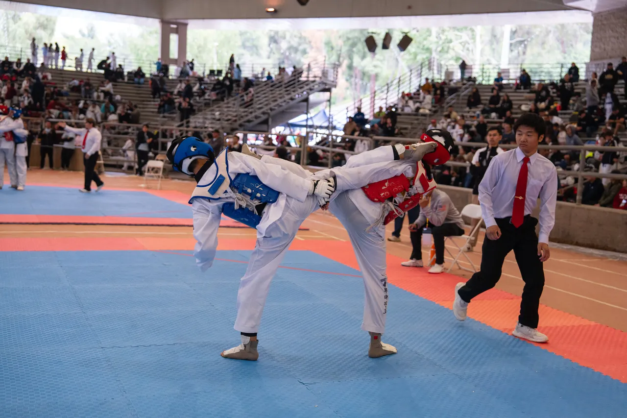 International Taekwondo Festival (ITF) 2025, photo 16 of 48