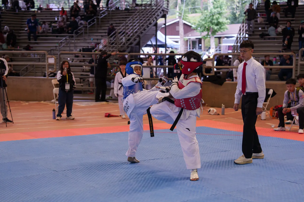 International Taekwondo Festival (ITF) 2025, photo 31 of 48
