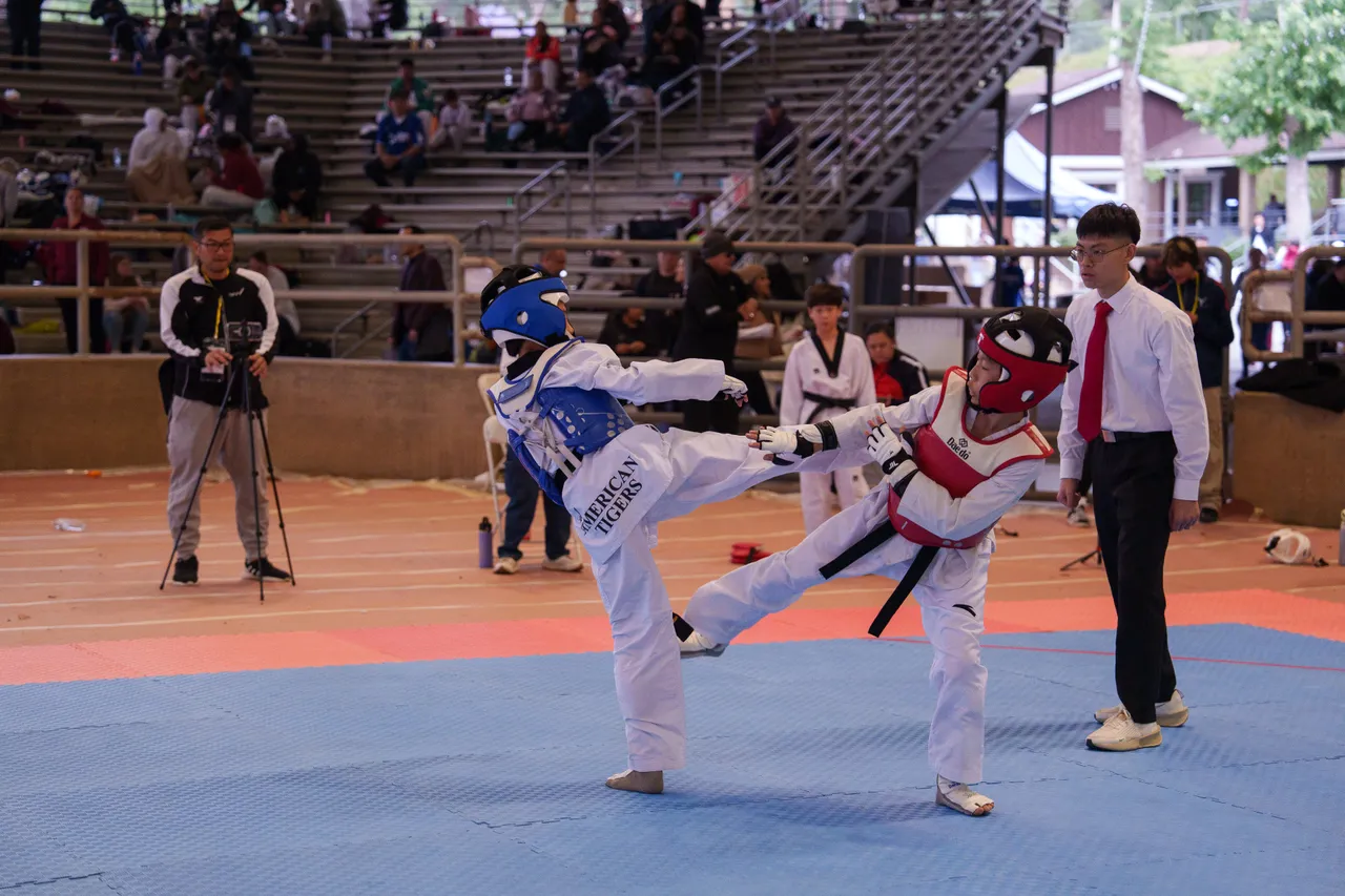 International Taekwondo Festival (ITF) 2025, photo 32 of 48