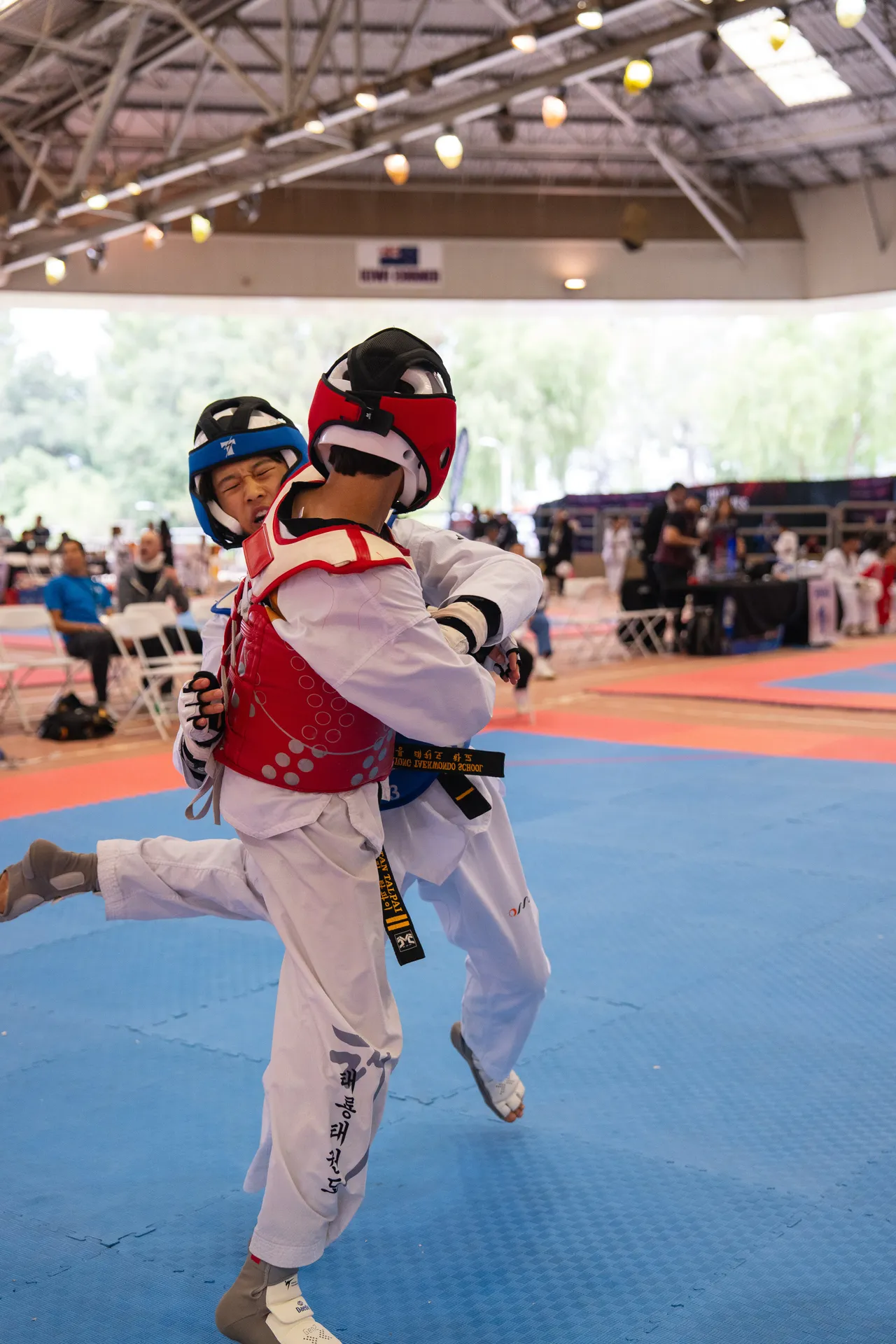 International Taekwondo Festival (ITF) 2025, photo 13 of 48