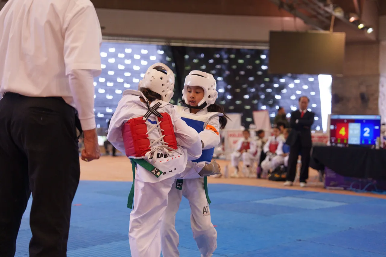 International Taekwondo Festival (ITF) 2025, photo 21 of 48