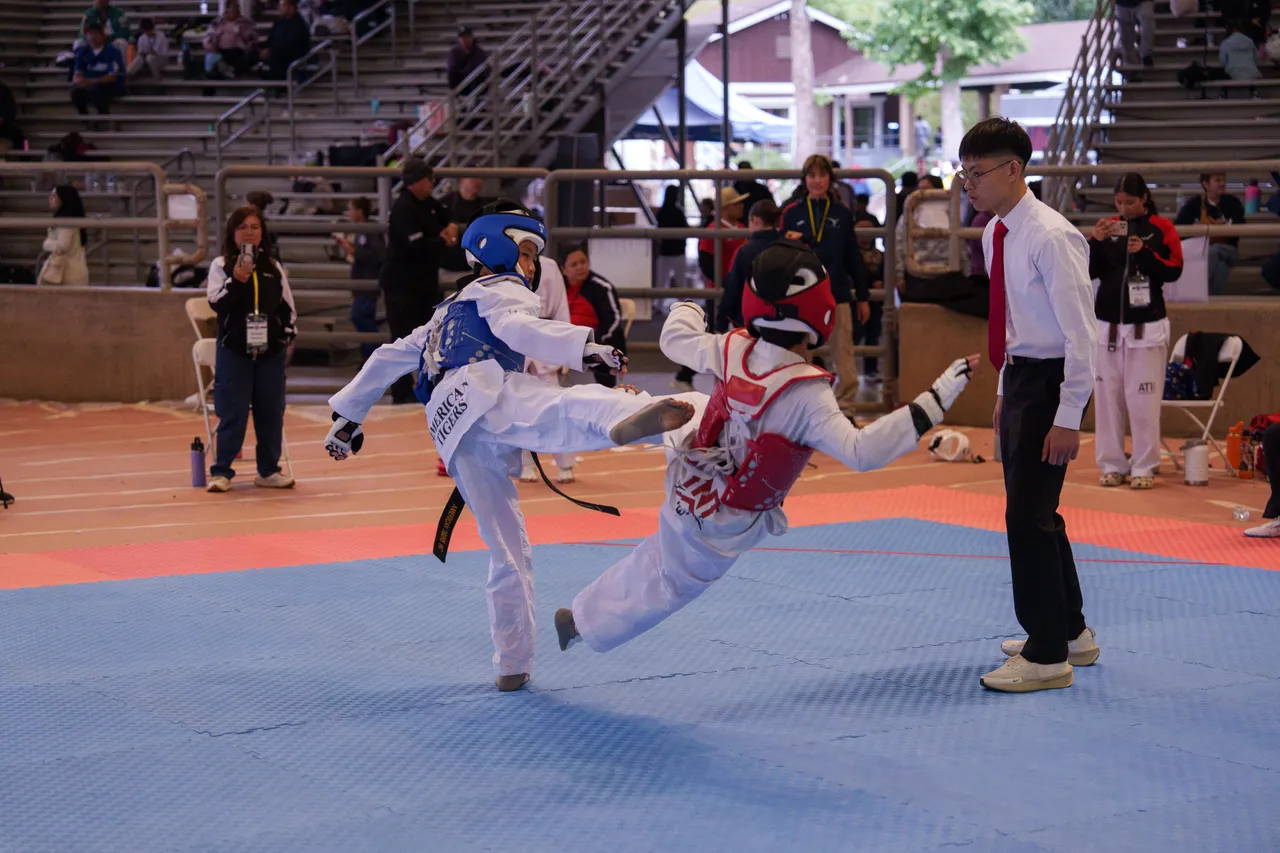 International Taekwondo Festival (ITF) 2025, photo 33 of 48