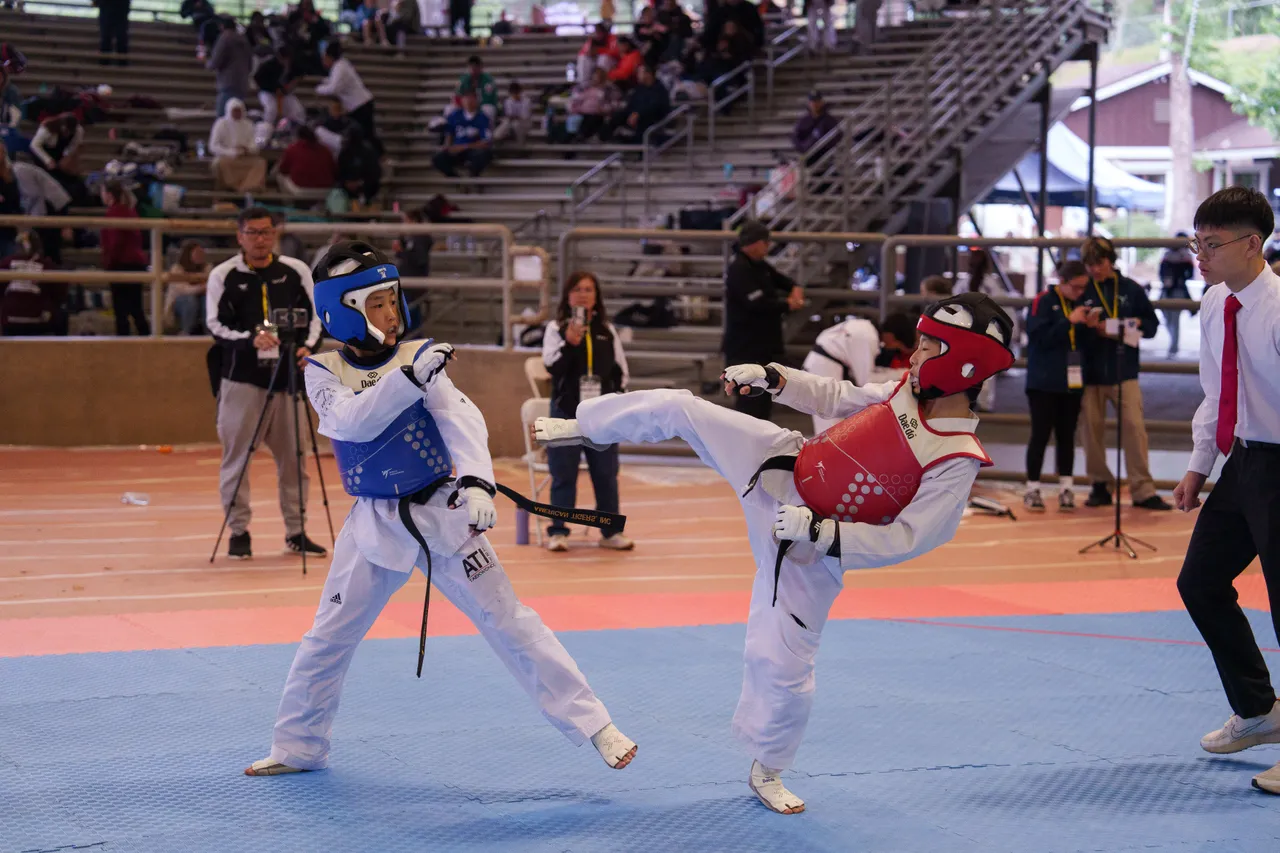 International Taekwondo Festival (ITF) 2025, photo 37 of 48