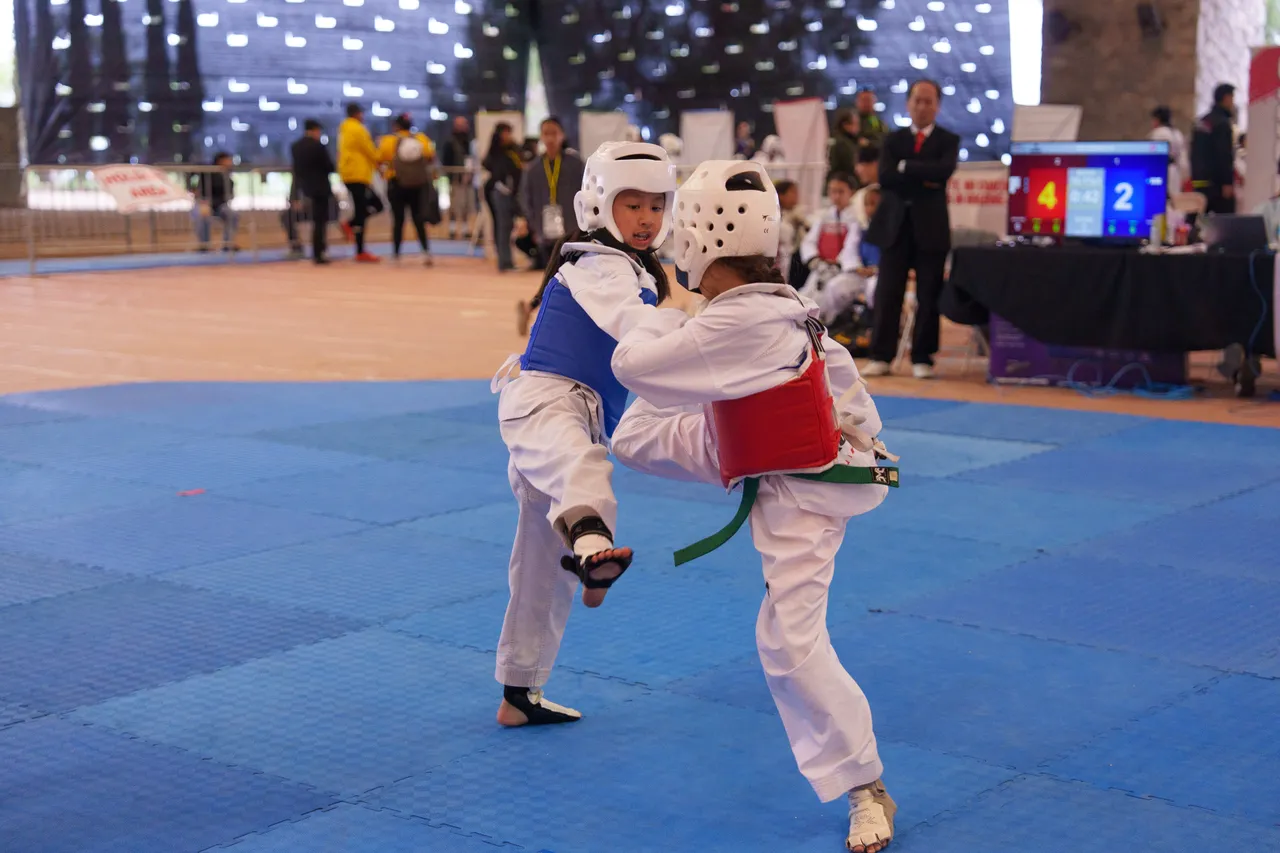 International Taekwondo Festival (ITF) 2025, photo 20 of 48