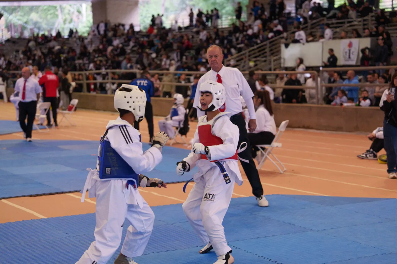 International Taekwondo Festival (ITF) 2025, photo 29 of 48