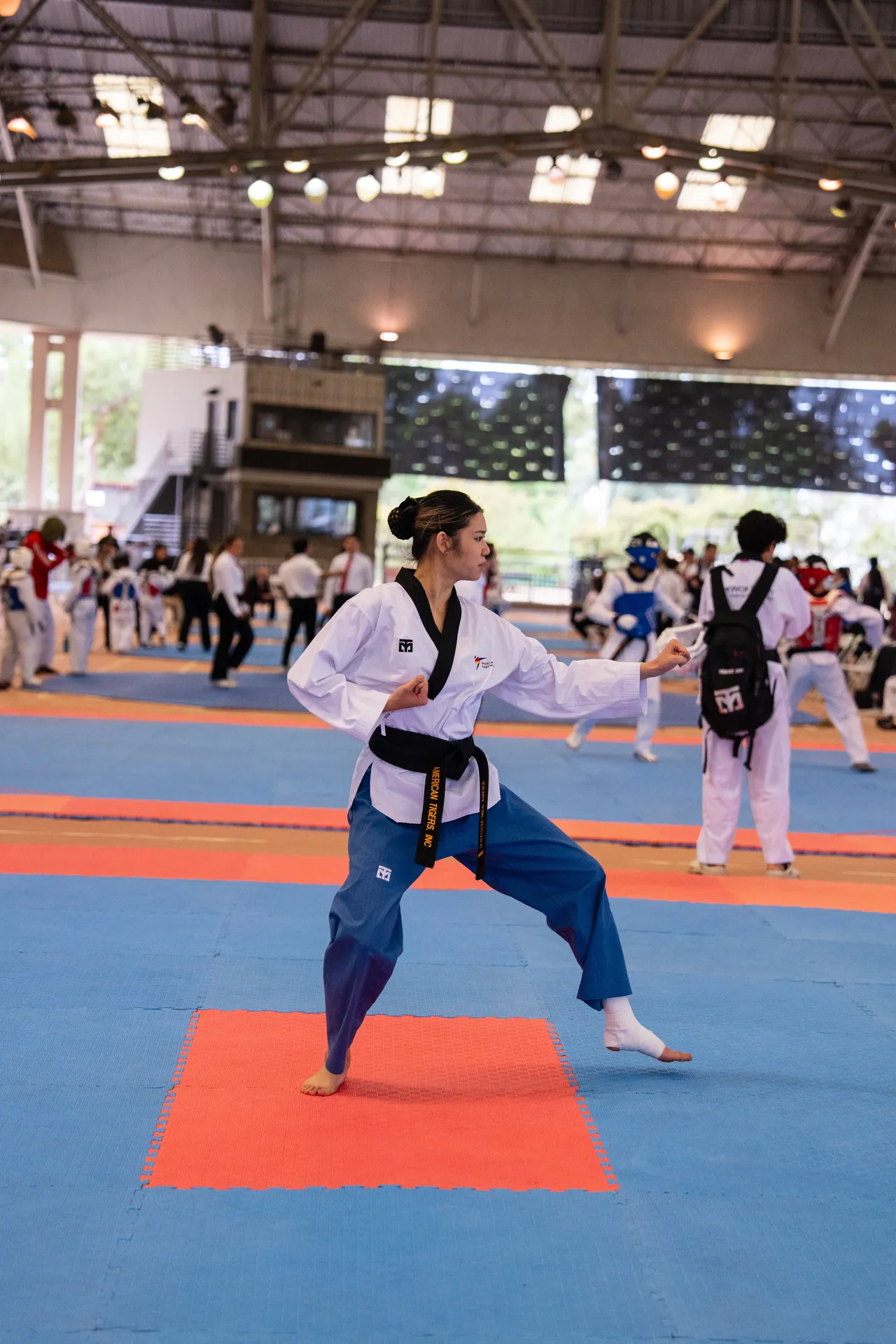 International Taekwondo Festival (ITF) 2025, photo 3 of 48