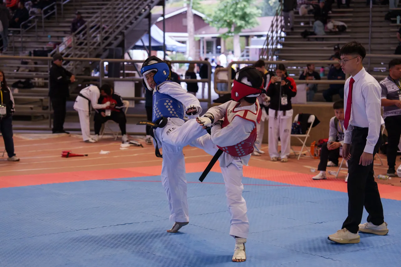 International Taekwondo Festival (ITF) 2025, photo 35 of 48