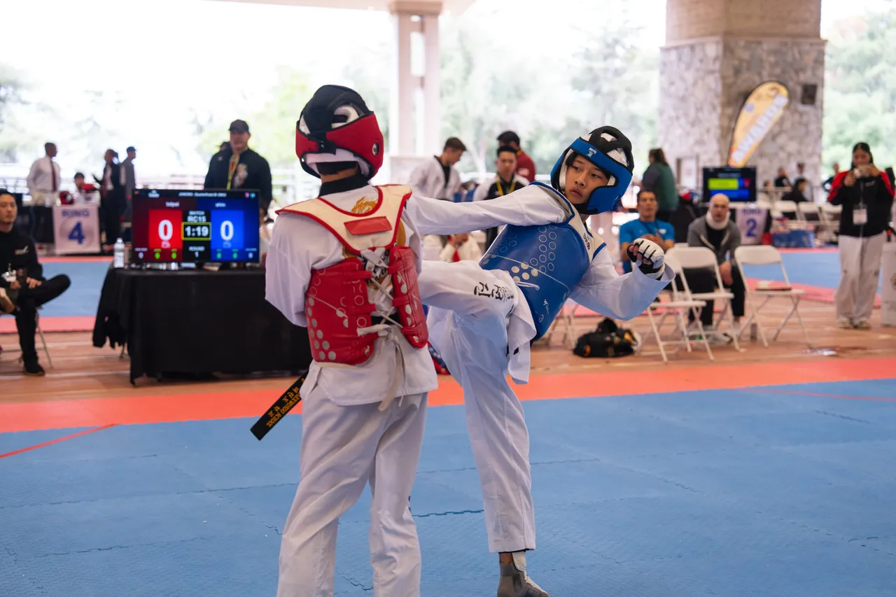 International Taekwondo Festival (ITF) 2025, photo 12 of 48