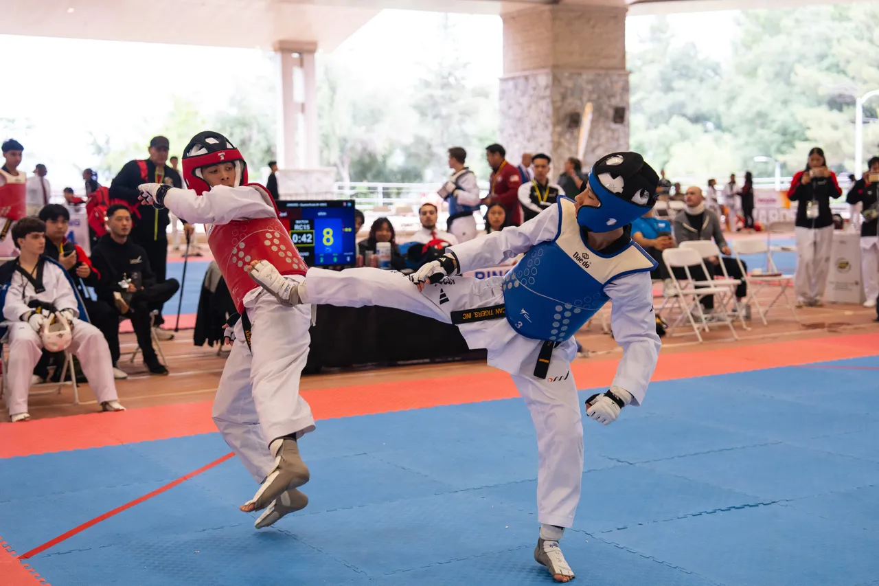 International Taekwondo Festival (ITF) 2025, photo 15 of 48