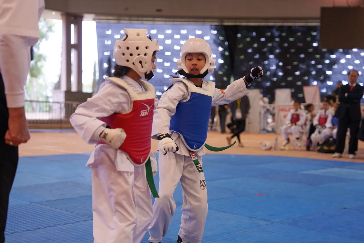 International Taekwondo Festival (ITF) 2025, photo 22 of 48