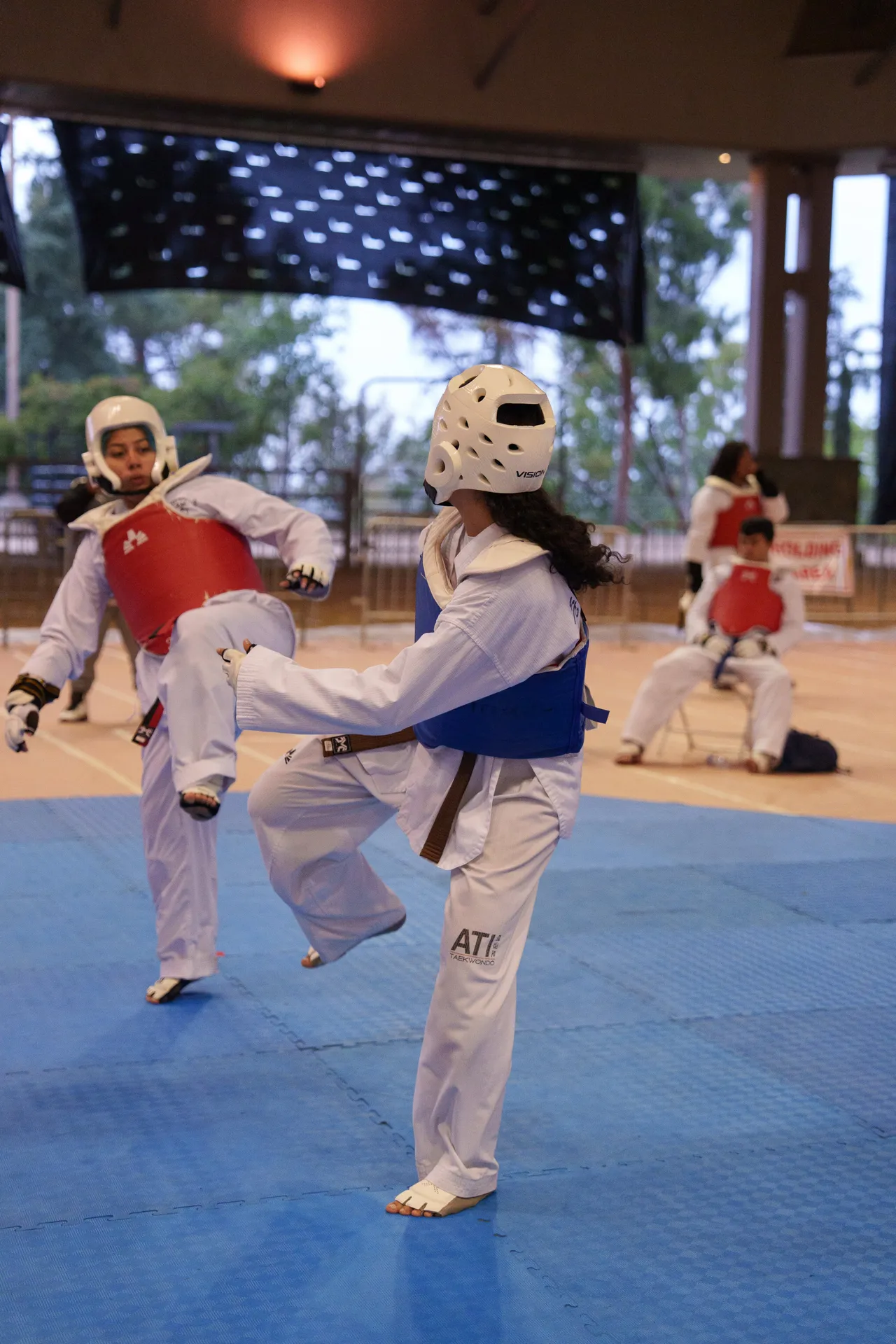 International Taekwondo Festival (ITF) 2025, photo 45 of 48