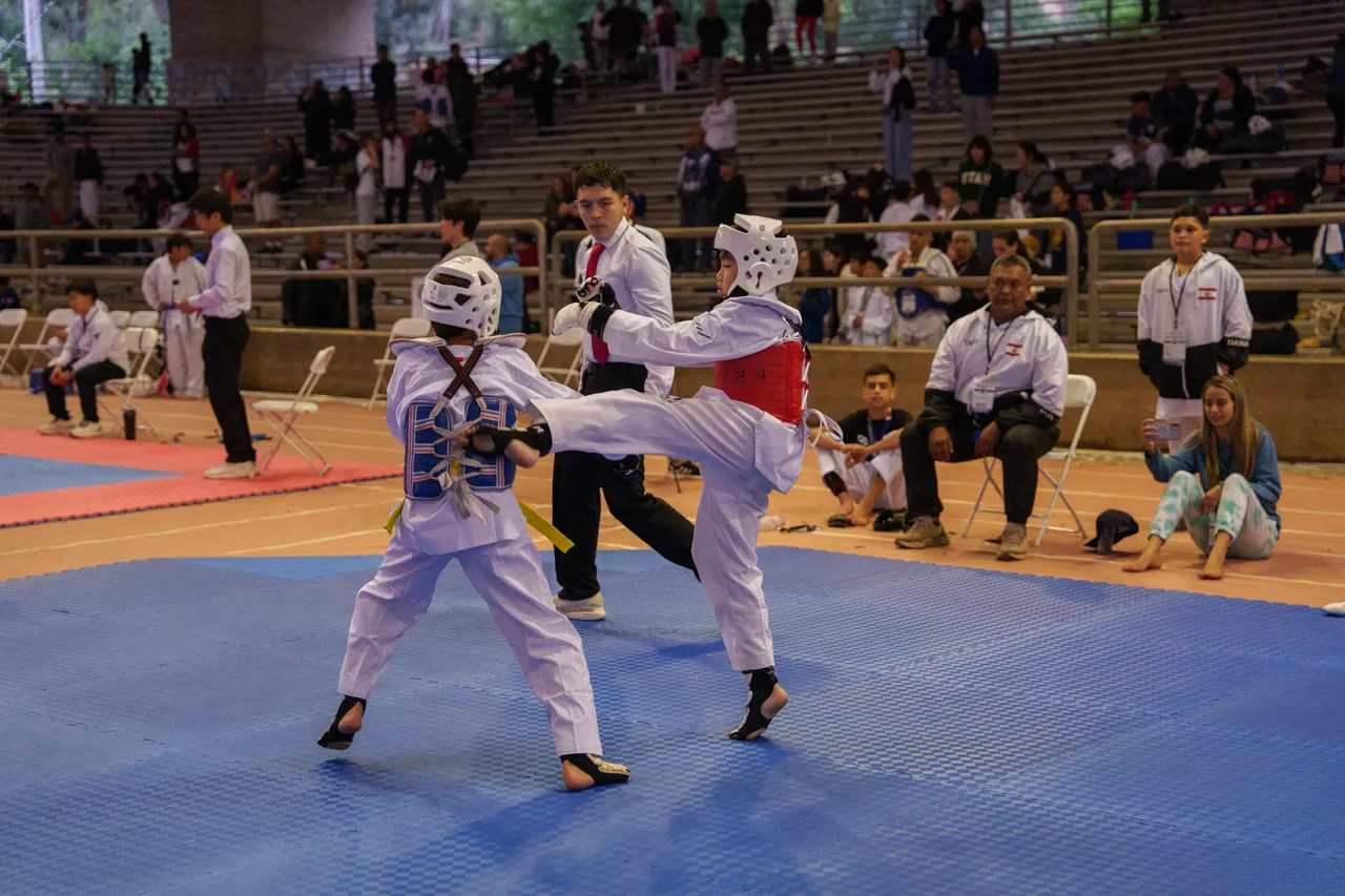 International Taekwondo Festival (ITF) 2025, photo 42 of 48