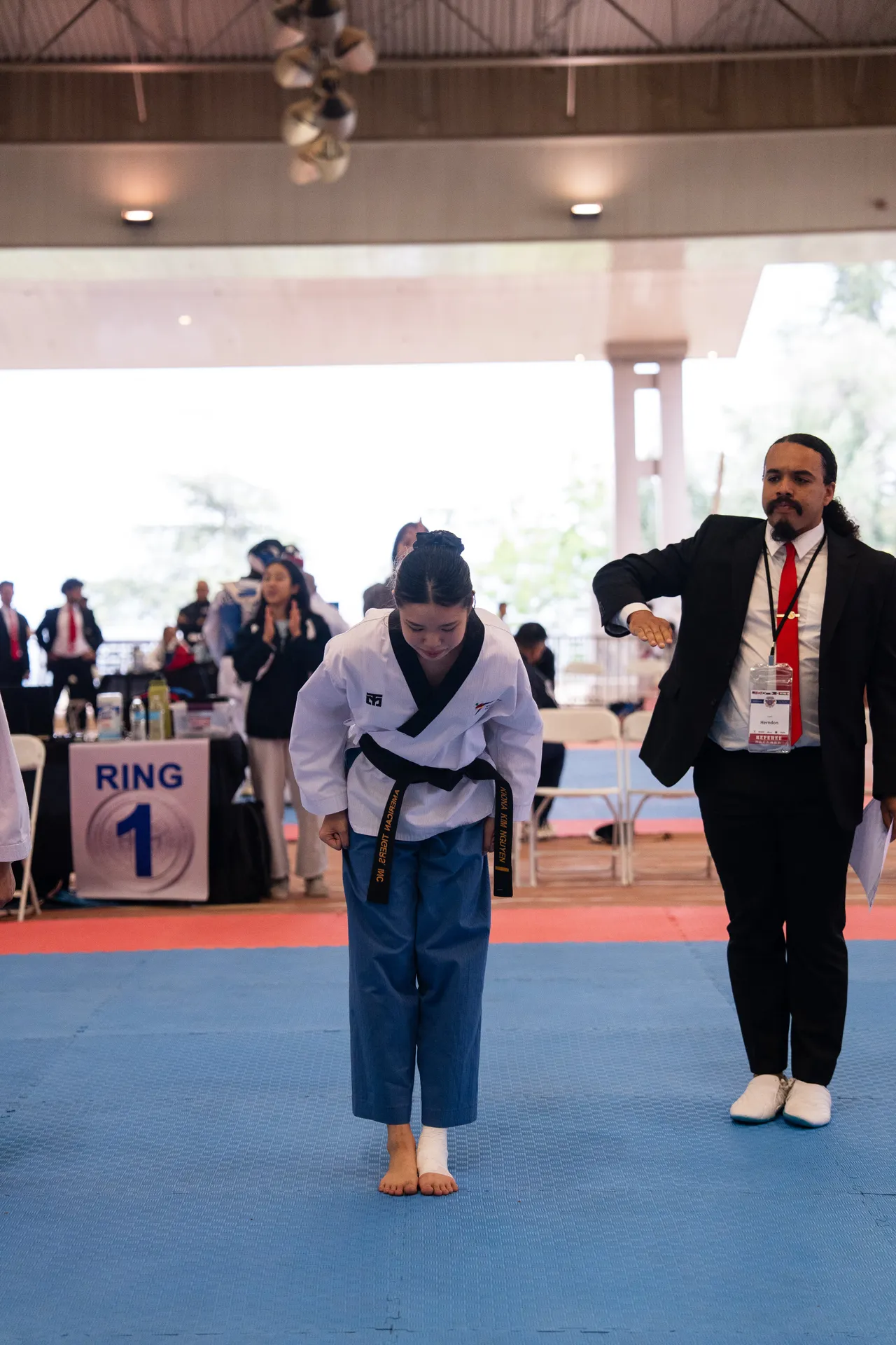 International Taekwondo Festival (ITF) 2025, photo 8 of 48