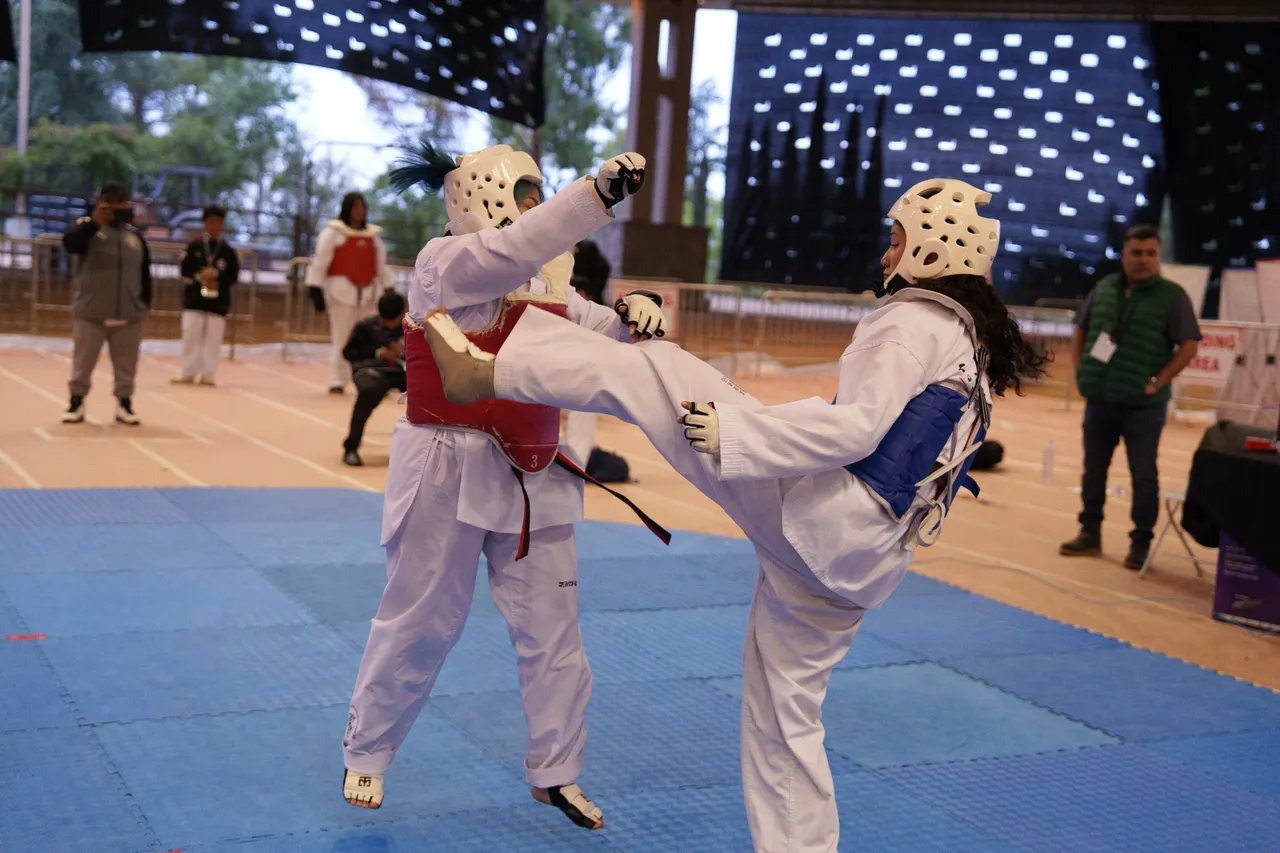 International Taekwondo Festival (ITF) 2025, photo 47 of 48
