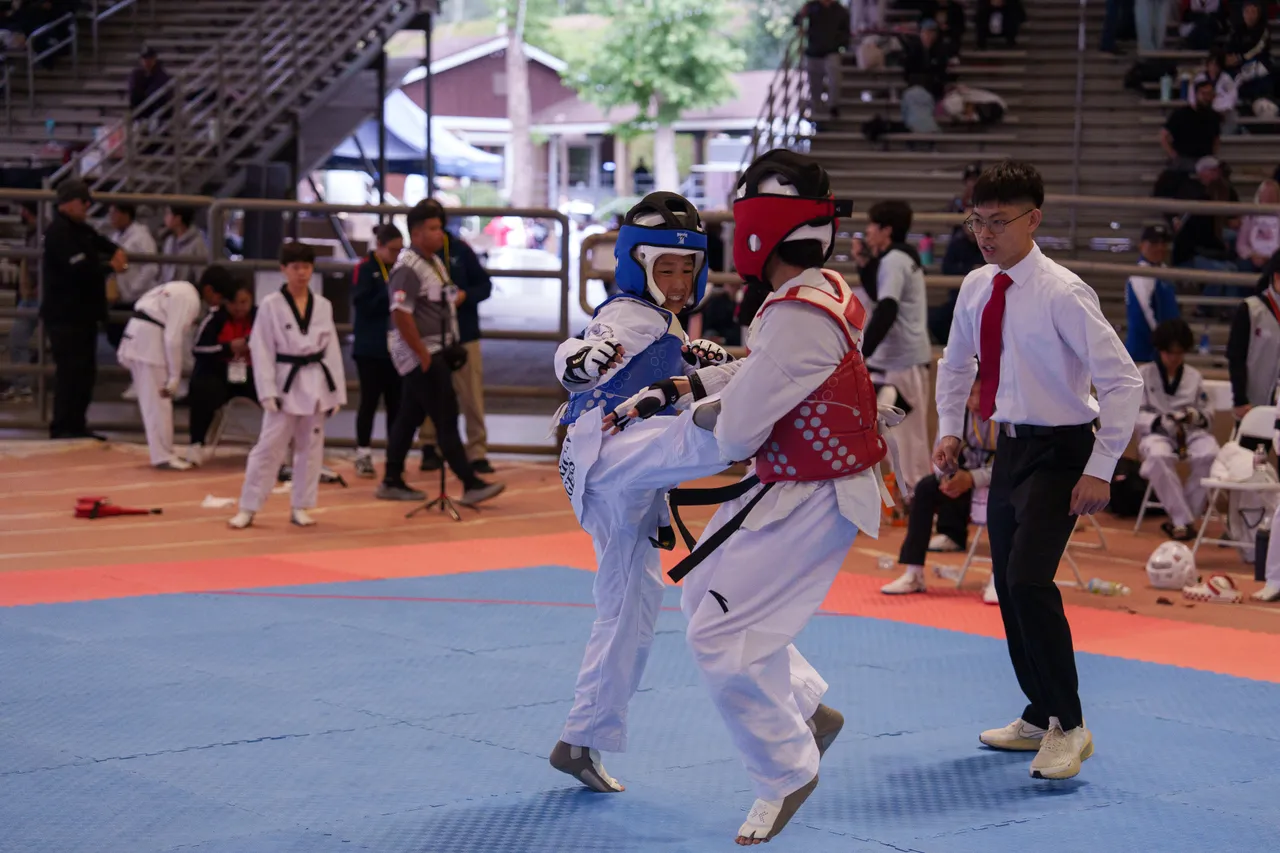 International Taekwondo Festival (ITF) 2025, photo 34 of 48