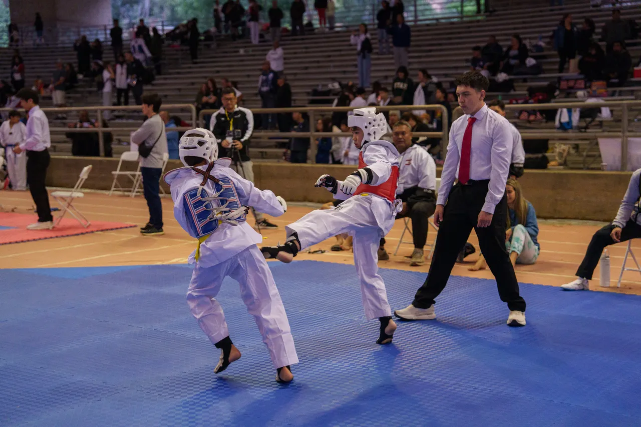 International Taekwondo Festival (ITF) 2025, photo 40 of 48