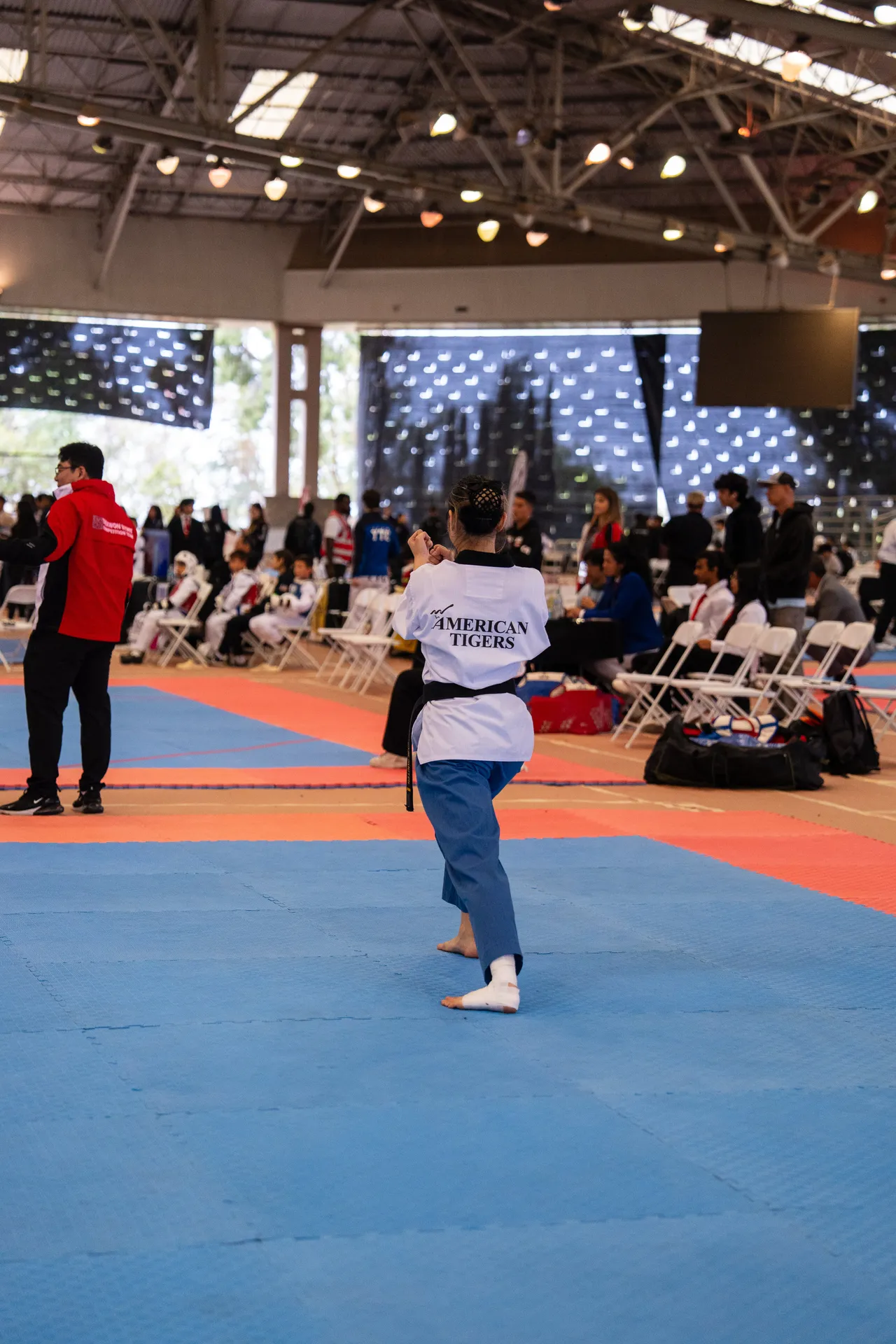 International Taekwondo Festival (ITF) 2025, photo 4 of 48