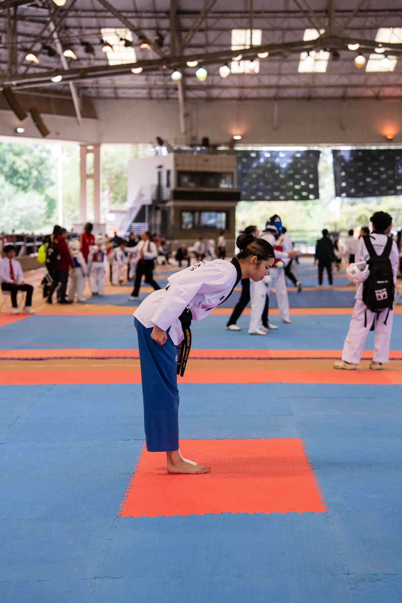 International Taekwondo Festival (ITF) 2025, photo 2 of 48