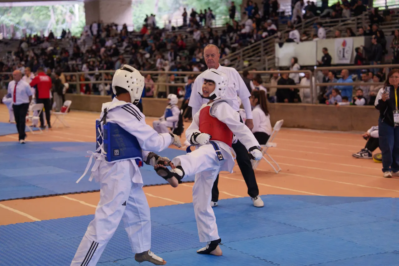 International Taekwondo Festival (ITF) 2025, photo 28 of 48