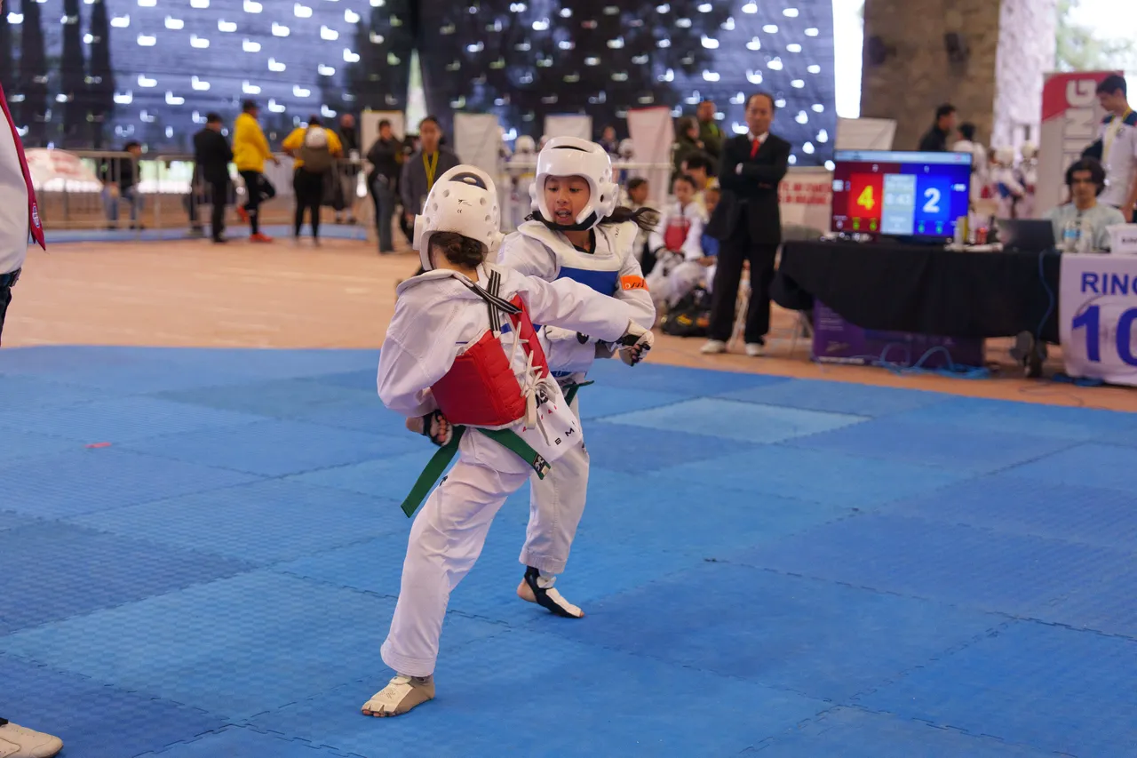 International Taekwondo Festival (ITF) 2025, photo 19 of 48