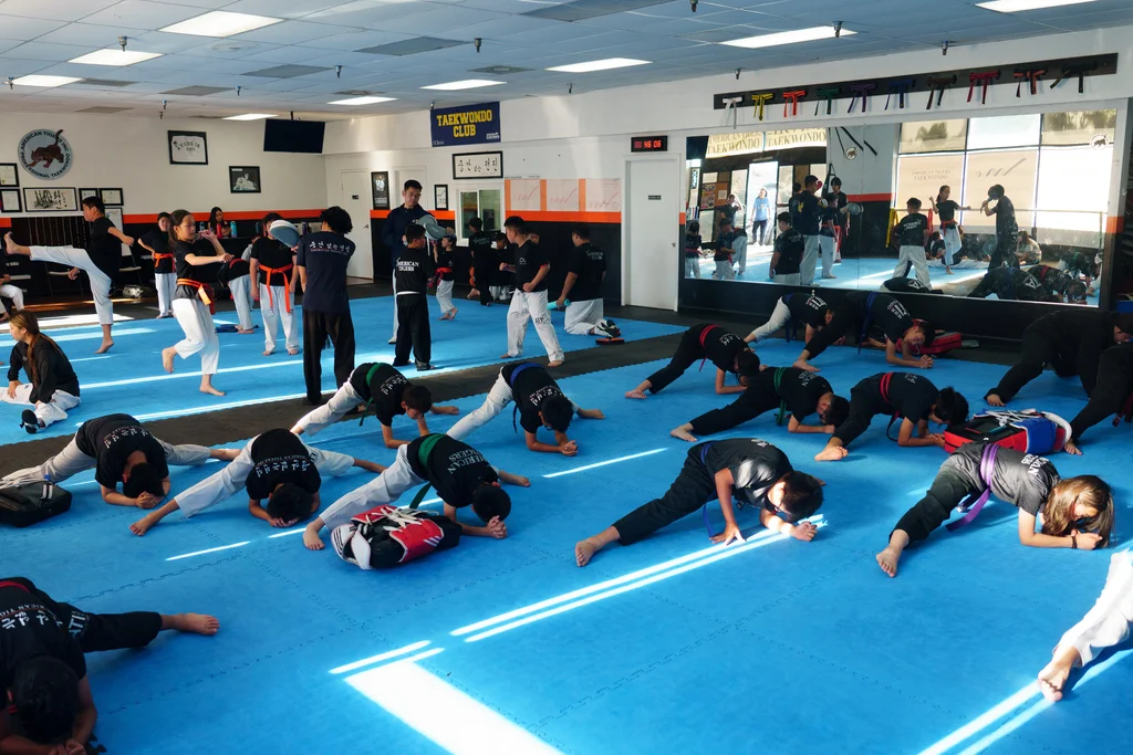 Young students practicing taekwondo forms