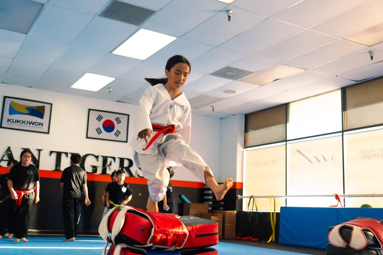 Ages 9-13 Taekwondo Class